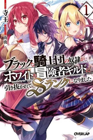 esclavo-de-la-orden-de-los-caballeros-thumb