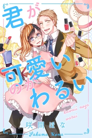 kimi-ga-kawaii-no-ga-warui-thumb