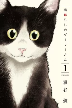 neko-gurashi-no-gamer-san-thumb