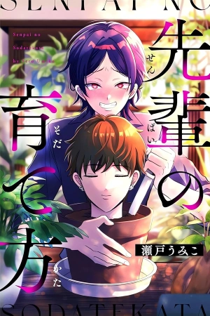 senpai-no-sodatekata-thumb