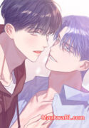 Fake Romance