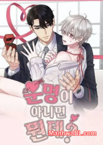 If It's Not Fate, Then What Is It