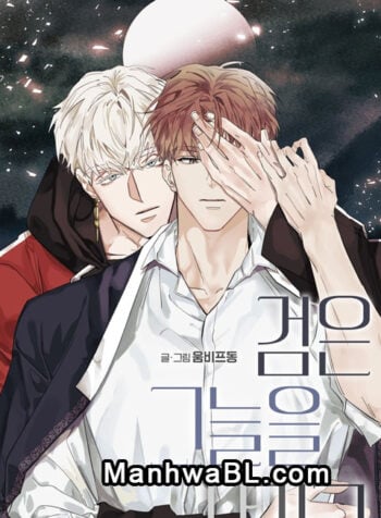 La espada que absorbe la oscuridad manhwa