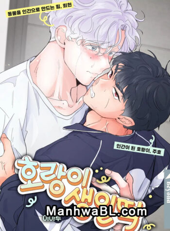 cumpleaños de tigre manhwa