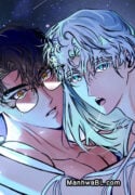 Lluvia de meteoros y correlación de la felicidad manhwa