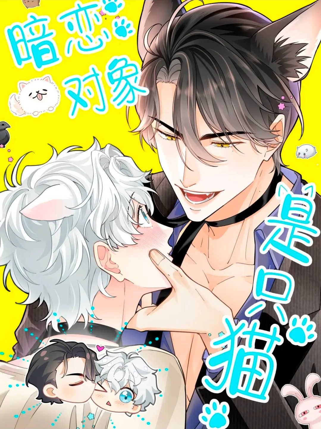 Mi amor platónico es un gato