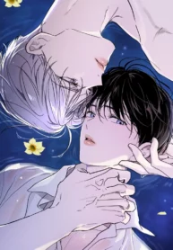 Miradas desenfocadas