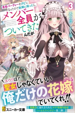 Yuusha Party wo Kubi ni Natta node Kokyou ni Kaettara, Member Zenin ga Tsuitekita N daga