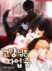 El gato está en huelga